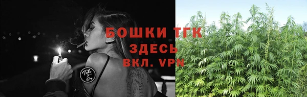 амф Инта