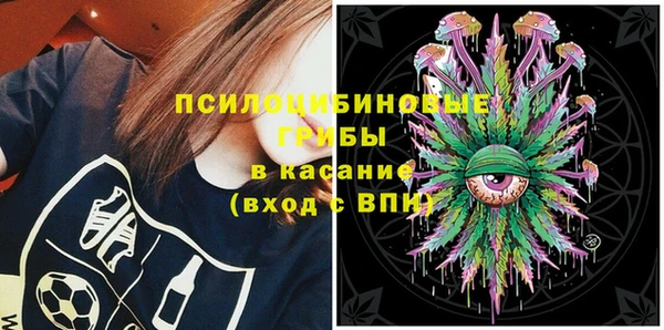 амф Инта