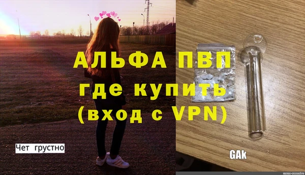 амф Инта