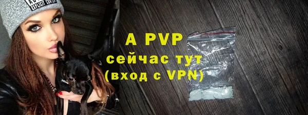 амф Инта